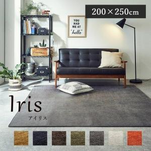 ラグ 洗える 撥水 カーペット シェニール ラグマット 3畳 アイリス 約200×250cm 北欧 おしゃれ オールシーズン ホットカーペットカバー 滑り止め付き 無地