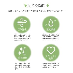 母の日 2026 い草マット ごろ寝マット お...の詳細画像2