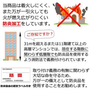 レースカーテン 防炎 ミラー アイカット 幅1...の詳細画像2