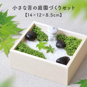 栽培セット 苔盆 ギフト ガーデニング 聖新陶芸 スナゴケ 栽培キット 苔庭園栽培セット 観葉植物 プレゼント スナ苔 SEI 父の日 母の日 ギフト プレゼント｜i-s