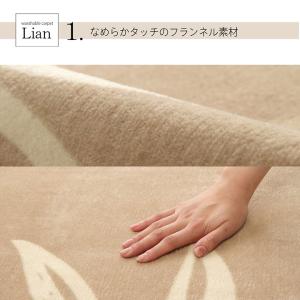 ラグ カーペット ラグマット 2畳 WSリアン...の詳細画像4