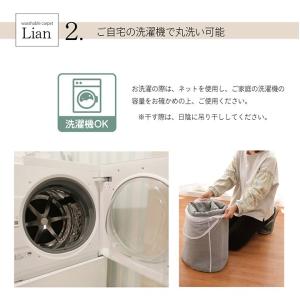 ラグ カーペット ラグマット 2畳 WSリアン...の詳細画像5