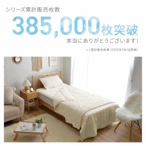 接触冷感 枕パッド レノ 枕パット 約43×6...の詳細画像1