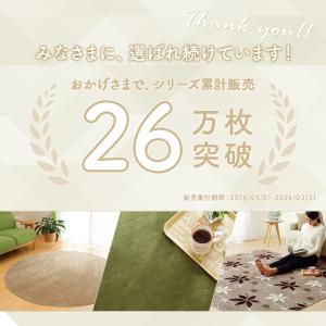 ラグ 洗える カーペット ラグマット 抗菌 防...の詳細画像1