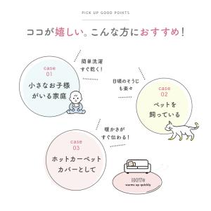 ラグ 洗える カーペット ラグマット 抗菌 防...の詳細画像4
