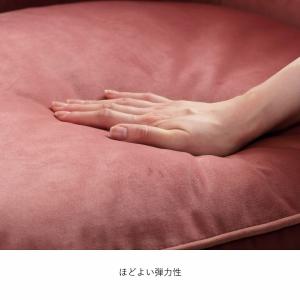 ベロアソファー エステ 2人掛け 二人掛け ソ...の詳細画像4