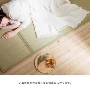 マットレス シングル 置き畳 畳 マット 国産...の詳細画像3