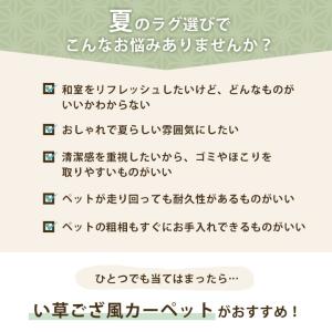 PPラグ カーペット ござ 洗える 六花 江戸...の詳細画像3