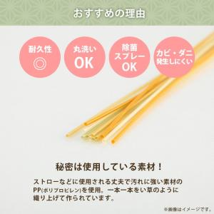 PPラグ カーペット ござ 洗える 六花 江戸...の詳細画像4