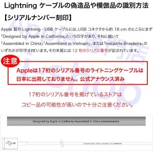 Apple 純正 iPhone iPad ライ...の詳細画像2