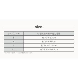 【正規品】 Phiten | ファイテン スポ...の詳細画像1