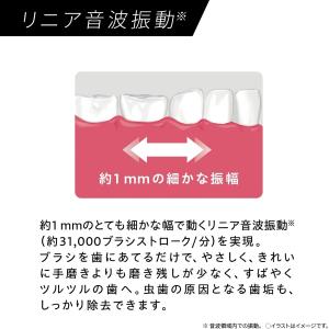 パナソニック 音波振動ハブラシ ドルツ EW-...の詳細画像5