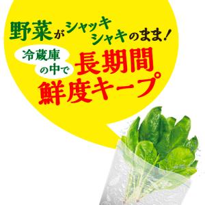 ママラクリーン鮮度キーパーM, Lセット(10...の詳細画像2
