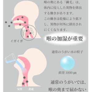 超音波吸入器 のどモイスチャー NK8021 ...の詳細画像2