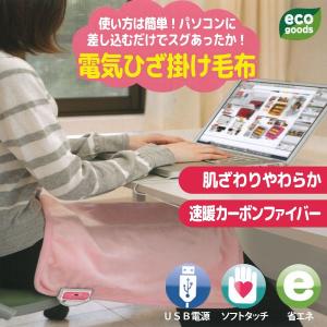 【激安セール】カーボンファイバー採用で即暖！電気ひざ掛け毛布 スグぽかぽか ブランケット やわらかな肌ざわり♪ USBに差すだけ簡単 ◇ エコひざかけ FH-30W