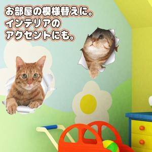 猫 ステッカー 5枚セット ウォールステッカー...の詳細画像4