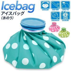 氷のう アイシングバッグ 発熱 怪我 氷嚢 ス...の詳細画像1