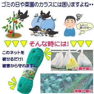 カラスよけ 防鳥網 大容量 12×4m 屋外 ...の詳細画像1