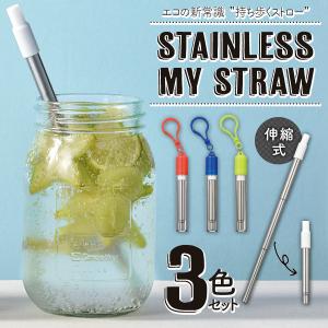 ポータブルストロー 3本セット 携帯ケース付 くり返し使える