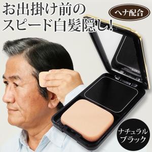 白髪染め 男性用 女性用 ヘアカラー ミラー付 ファンデーション