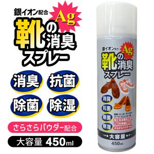 靴用 消臭スプレー 銀イオン配合 Ag 抗菌 除菌 除湿