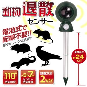 動物撃退器 ねずみ カラス 鳥 もぐら 猫 コードレス