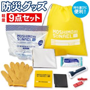 防災グッズ 9点 防災セット 地震 台風対策 避難用グッズ