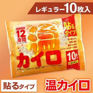衣類に貼るカイロ 10個入セット レギュラーサイズ