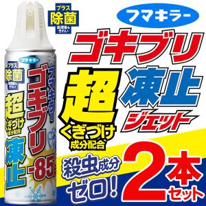 フマキラー ゴキブリ 超凍止ジェット ゴキブリ退治