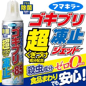 フマキラー ゴキブリ超凍止ジェット すぐにゴキブリの動きを止めて逃がさない ゴキブリ退治 瞬間スプレー 230ml 除菌 殺虫成分ゼロ N◇ ゴキブリ超凍止ジェット｜i-shop7