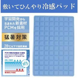 【訳あり特価】冷感パッド 大判 L ひんやり敷き...の商品画像