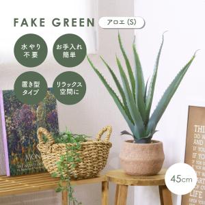 観葉植物 アロエ 鉢付き セメントポット 人工観...の商品画像