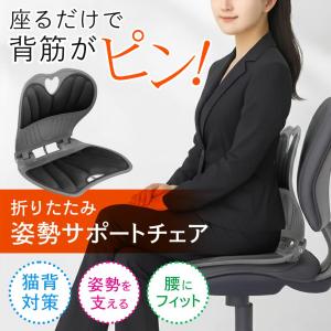 姿勢サポートチェア 背筋がピン 座るだけ 折りたたみ オフィスチェア 椅子 デスクチェア 美姿勢 背もたれ 車 座席 背筋 腰痛対策 /100S◇ 姿勢サポートチェア