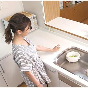コバエワンプッシュプレミアム 60回分 フマキ...の詳細画像4