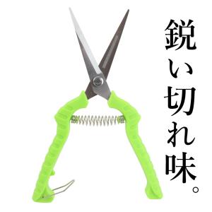 剪定ばさみ 強力 剪定 ばさみ 鋭い切れ味 楽...の詳細画像3