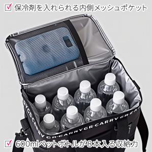 クーラーバッグ ソフト 12.5L 保冷 保温...の詳細画像3