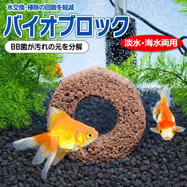 【 面倒な水換えの手間軽減 】水槽用 バイオブロック 水槽 水質浄化リング BB菌 淡水魚 海水魚 ...
