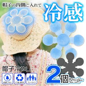 【1個300円以下】冷やすグッズ 帽子用保冷剤 ...の商品画像