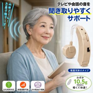 2個セット【集音器】高齢者 補聴器 イヤホン 軽量 介護 両耳 急速充電 ケース 集音器 高齢者 補聴器 耳穴型 2個セット 電池式 安価 小型 耳穴型
