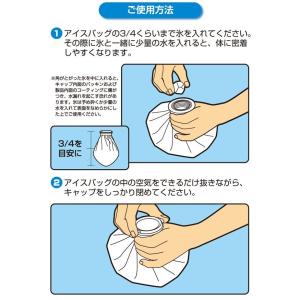 氷嚢 スポーツ ゴルフ 氷のう アイシングバッ...の詳細画像5