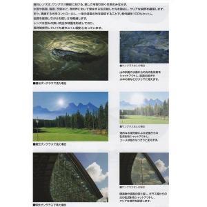 コールマン 偏光サングラス Coleman 正...の詳細画像3