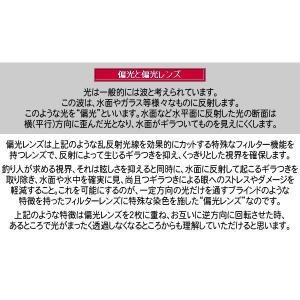 コールマン 偏光サングラス Coleman 正...の詳細画像4
