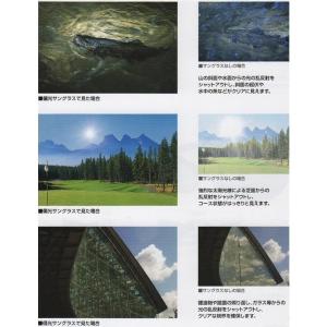 コールマン 偏光サングラス Coleman ス...の詳細画像2