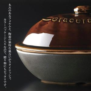 石焼き芋メーカー 焼きいも器 電子レンジ専用 焼き芋