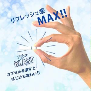 コバト ブルーベリー ニコチン0 ニコチンゼロ...の詳細画像2