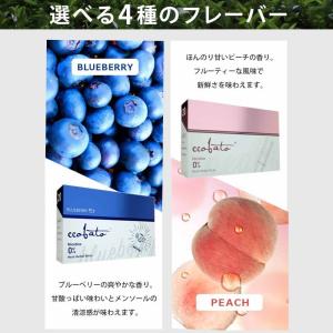 コバト ブルーベリー ニコチン0 ニコチンゼロ...の詳細画像5
