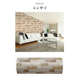 20cmX30cm サンプル 壁紙 クッション...の詳細画像5