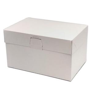 A54120 ロックBOX 120 ホワイト ３.５×５（300枚） A54120 ロックBOX 120 ホワイト 3.5×5（300枚）105×150×120mm