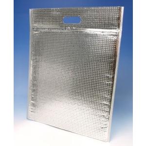 ミナクール C4Z 平袋 LL（50枚×2箱）チャック付 平保冷袋 365×475mm（個人宅への発...