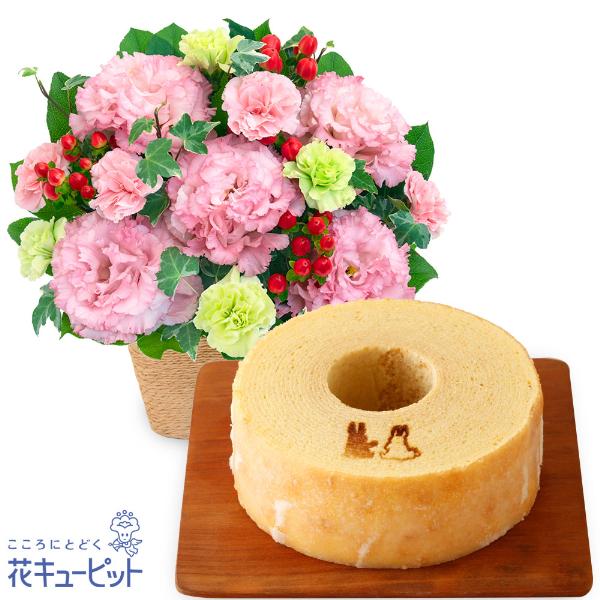 【お祝いセットギフト】花キューピット 誕生日 退職 結婚 記念日 生花 トルコキキョウのナチュラルな...